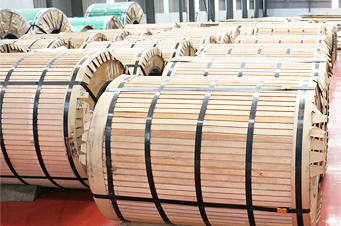 20220810143425_0193 20220810143425_0193